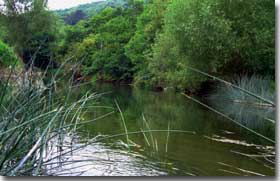 Bristol Avon - Click For Larger Image