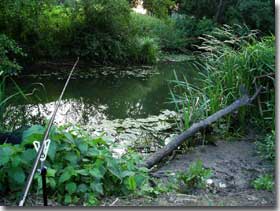 River Mole - Click For Larger Image